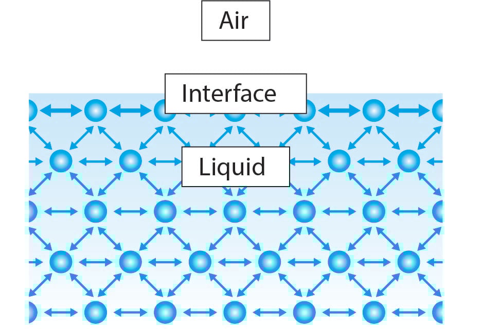 Surface tension of water Why is it so high?